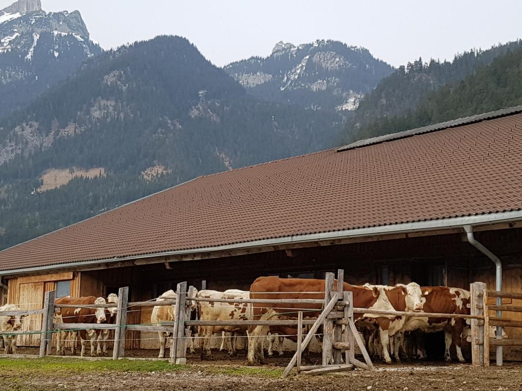 Haidacherhof Eben am Achensee Buitenkant foto